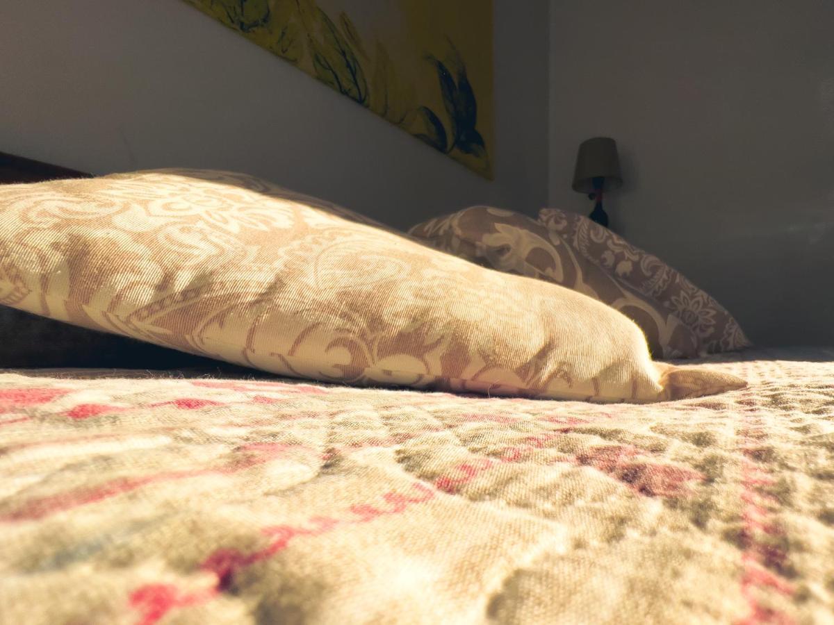 Tenuta Monteoliveto - Family Cottage - Agriturismo Nelle Langhe Vesime 외부 사진